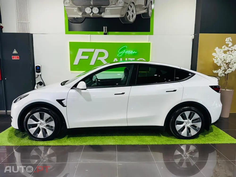 Tesla Model Y Standard