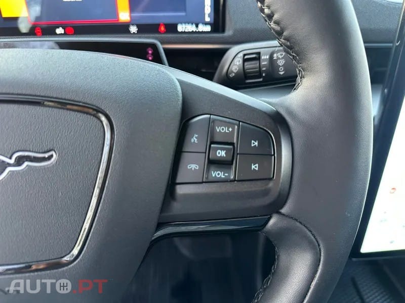 Ford Mustang Mach-E Standard