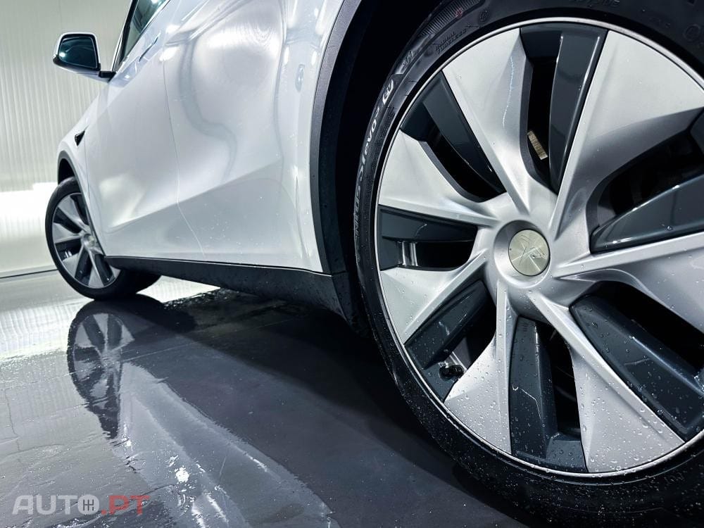 Tesla Model Y Standard
