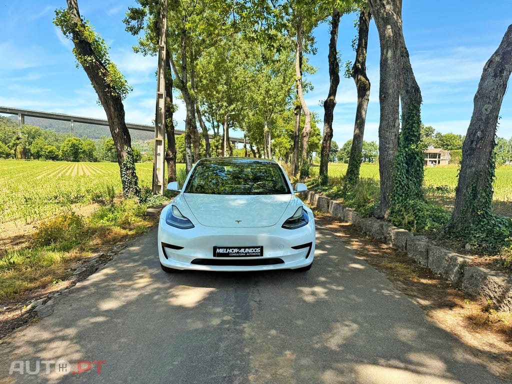 Tesla Model 3 Standard RWD Plus