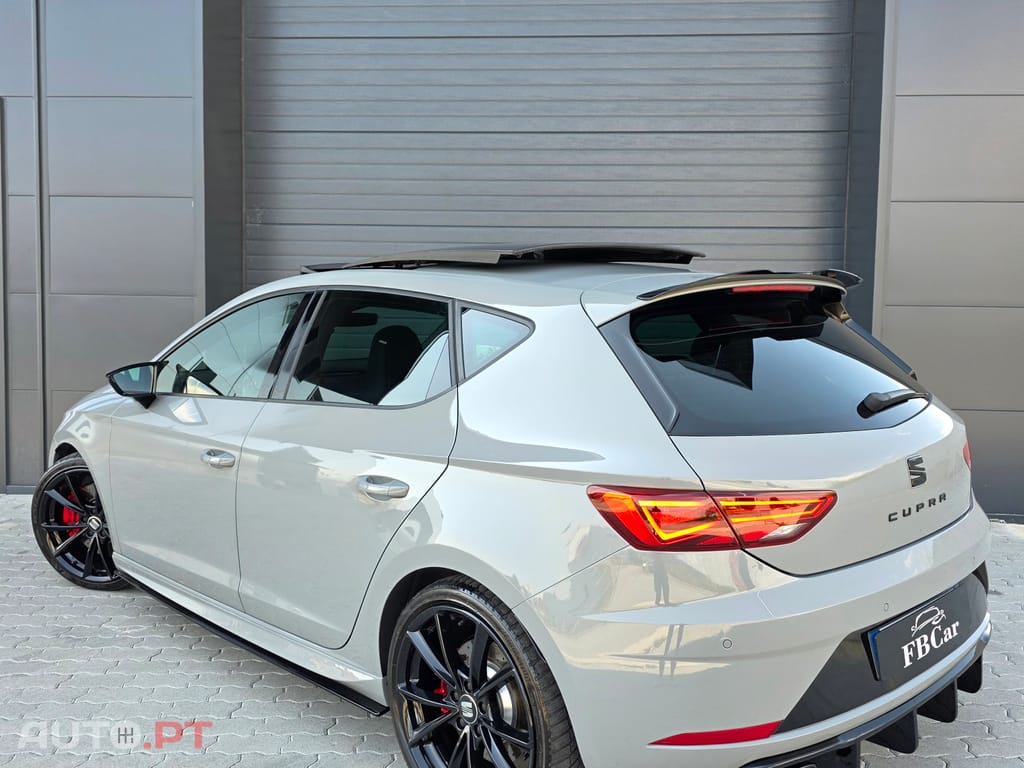 Seat Leon Cupra 290