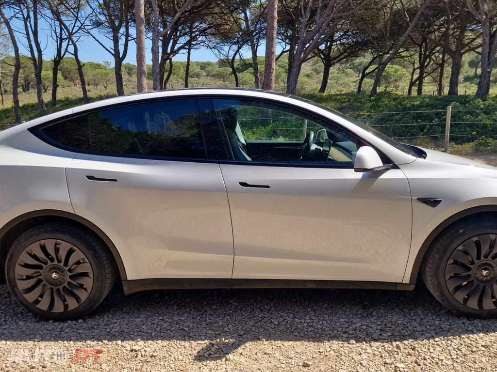 Tesla Model Y RWD