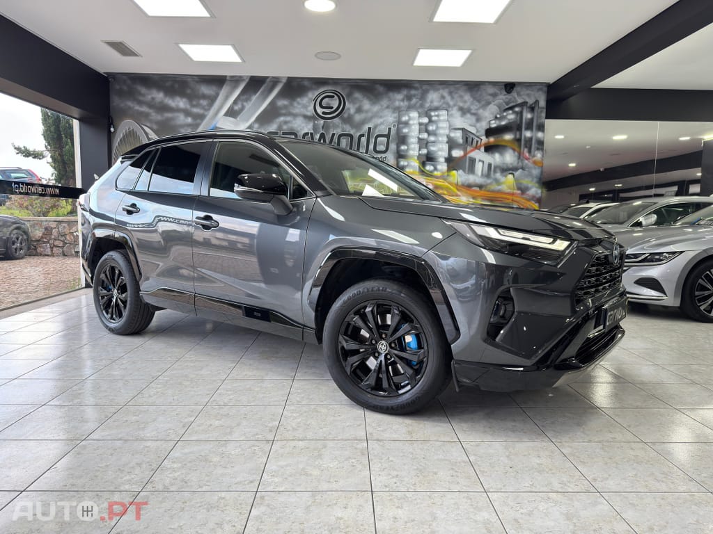 Toyota RAV4 HDF Square Collection