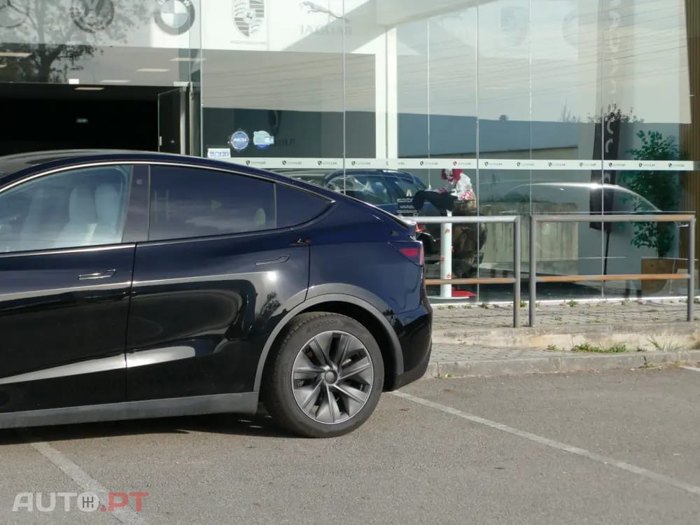 Tesla Model Y Standard