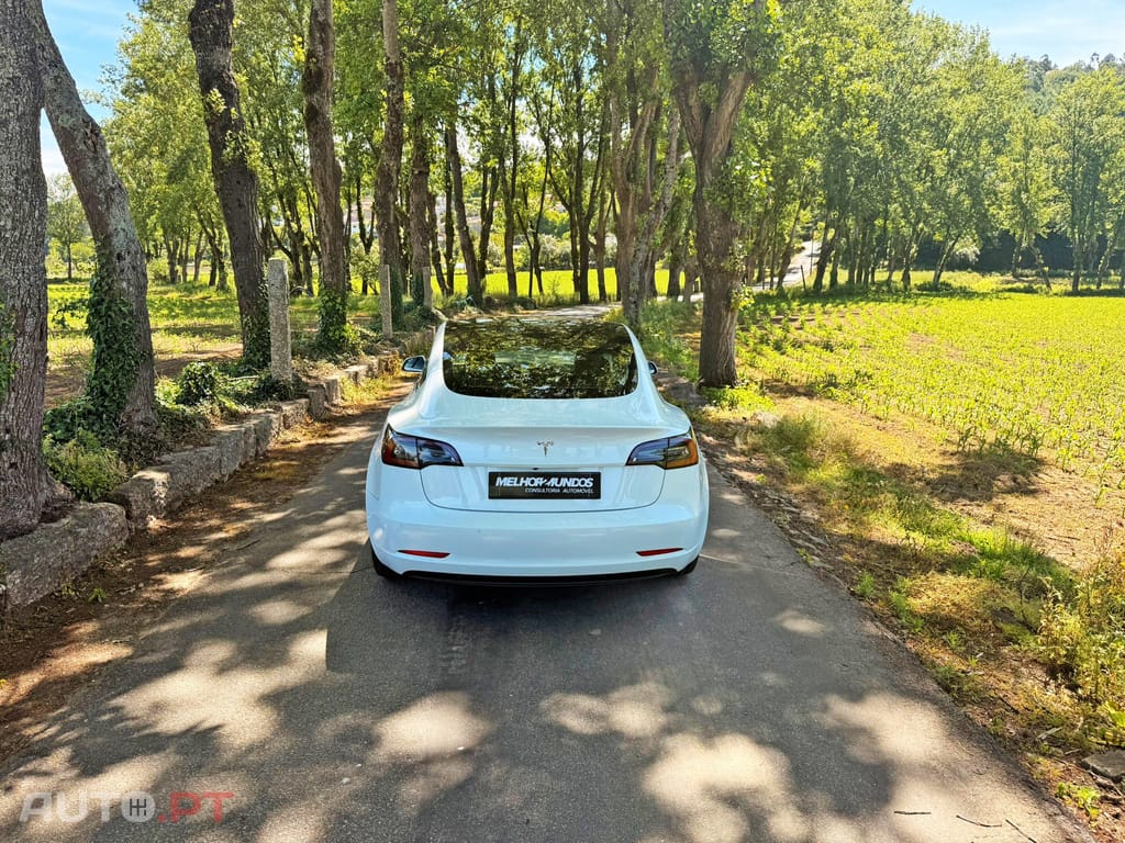 Tesla Model 3 Standard RWD Plus