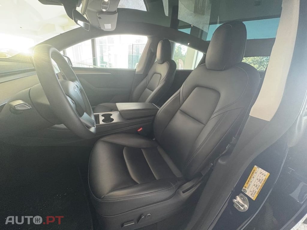 Tesla Model Y Long Range Tração Integral
