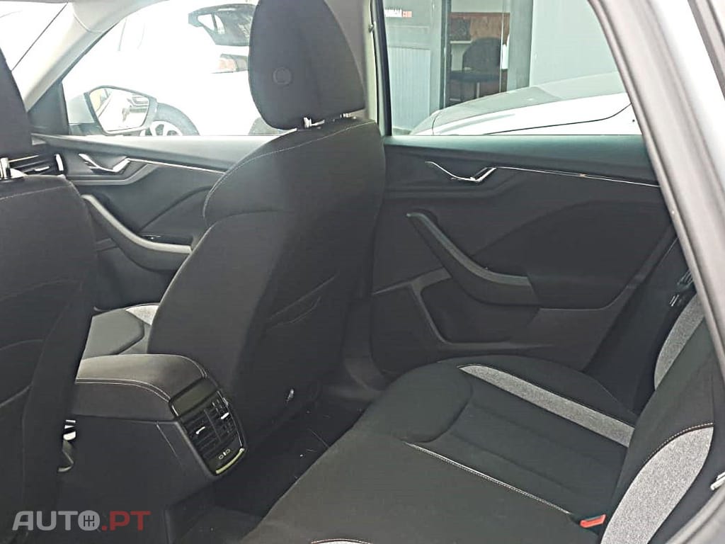 Skoda Kamiq 1.0 TSI Selection DSG