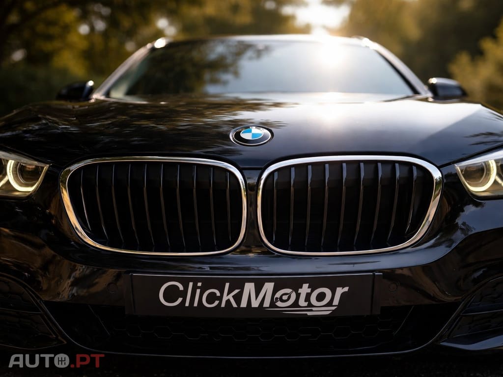 BMW X1 25 d xDrive Pack M