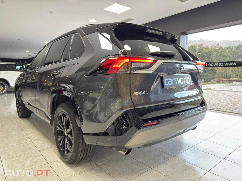 Toyota RAV4 HDF Square Collection