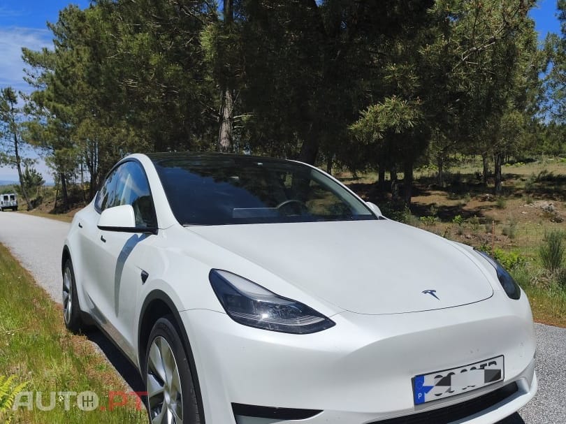 Tesla Model Y RWD