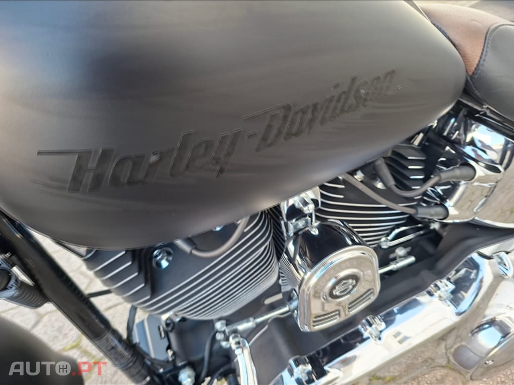 Harley Davidson Heritage FLSTC