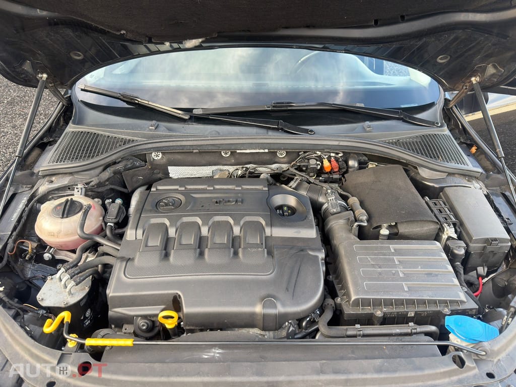 Skoda Octavia Break 1.6 TDi Greenline