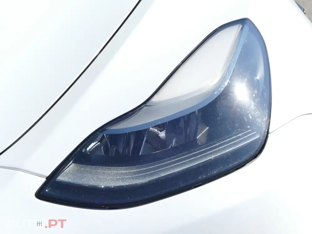 Tesla Model Y Standard