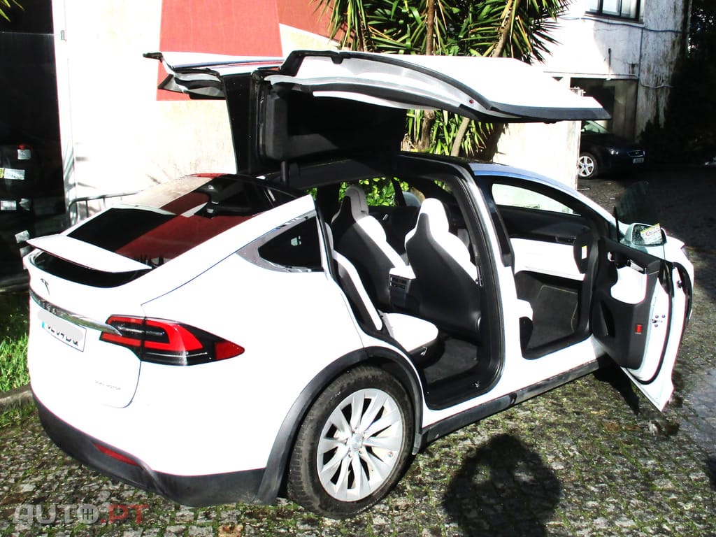 Tesla Model X X  P 100 560 cv
