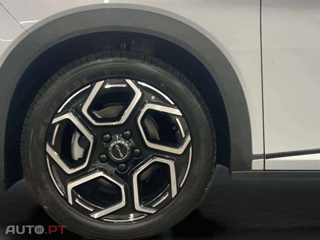 BYD Dolphin Design 