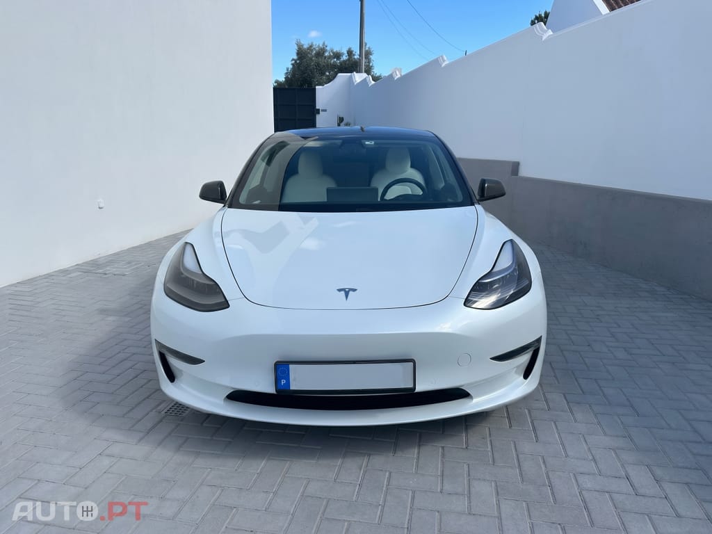 Tesla Model 3 Performance