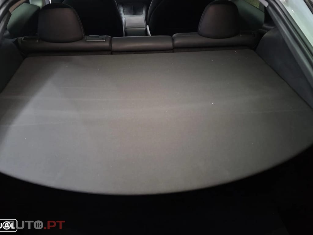 Tesla Model Y Standard