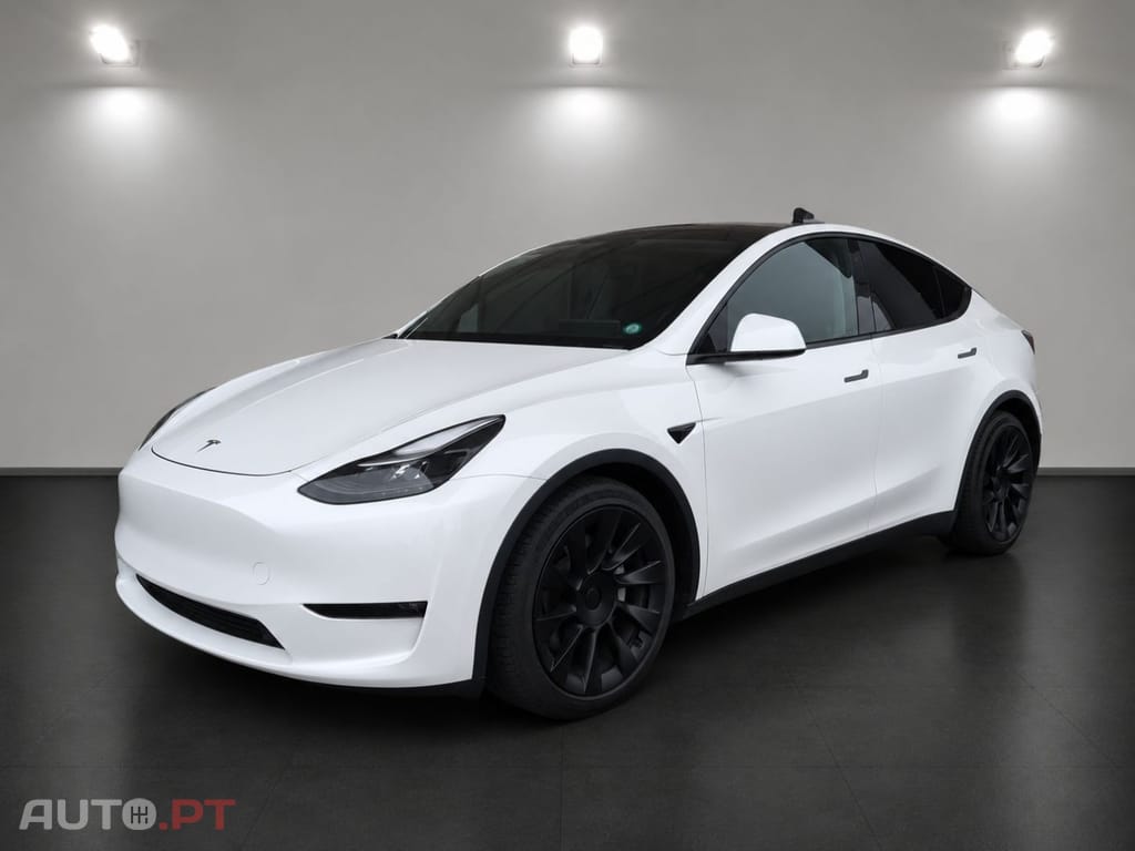 Tesla Model Y Long Range Dual Motor AWD