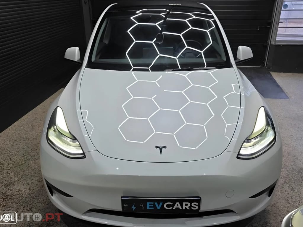 Tesla Model Y Standard