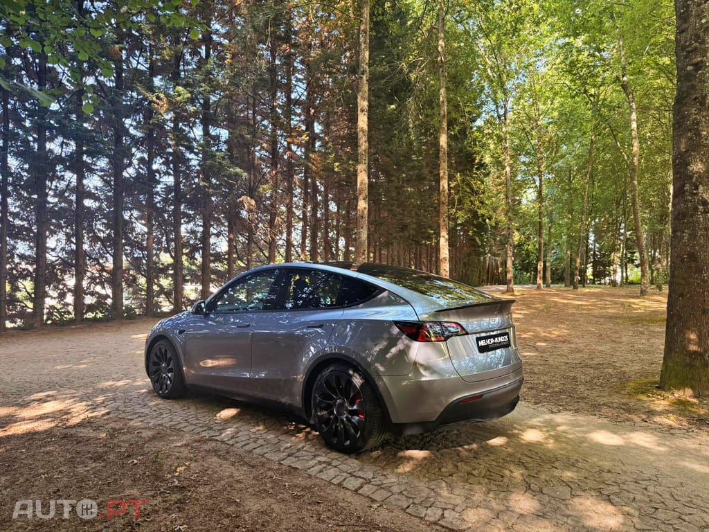 Tesla Model Y Performance Dual Motor AWD