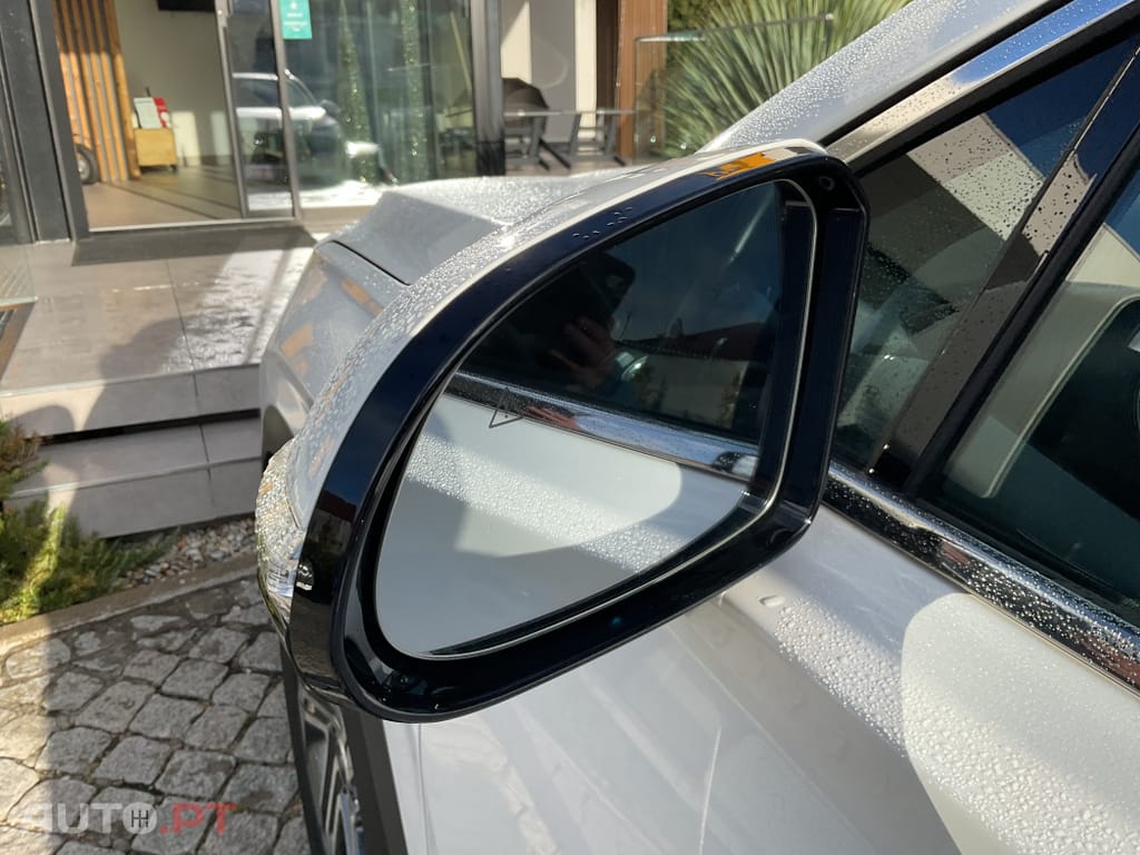 Hyundai Santa Fe 2.2 CRDi Vanguard+Luxury Pack