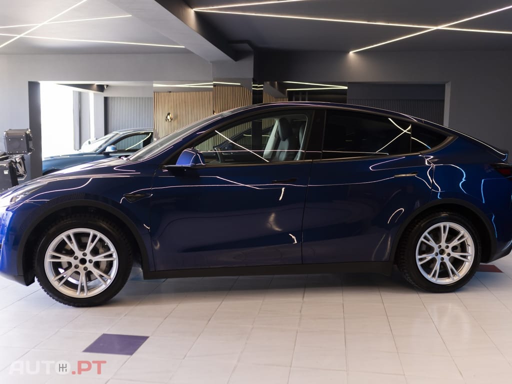 Tesla Model Y Standard