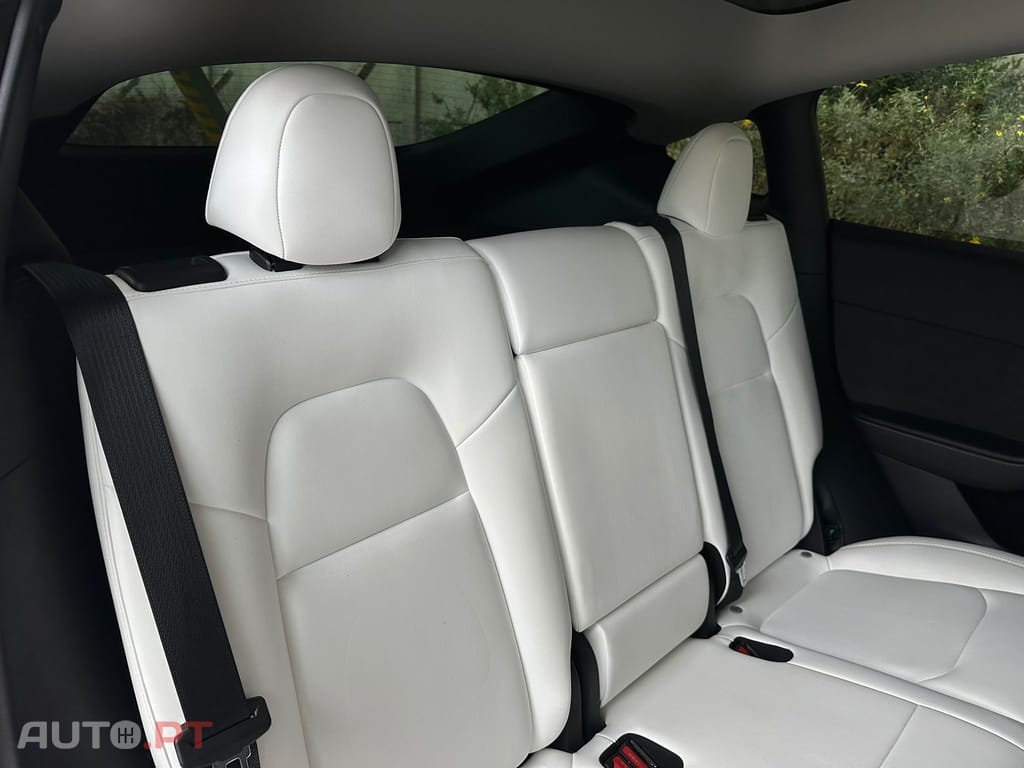Tesla Model Y Standard RWD
