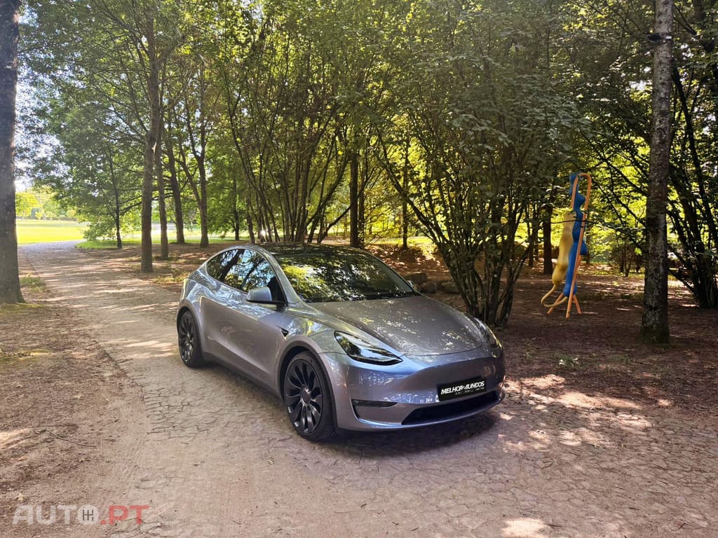 Tesla Model Y Performance Dual Motor AWD