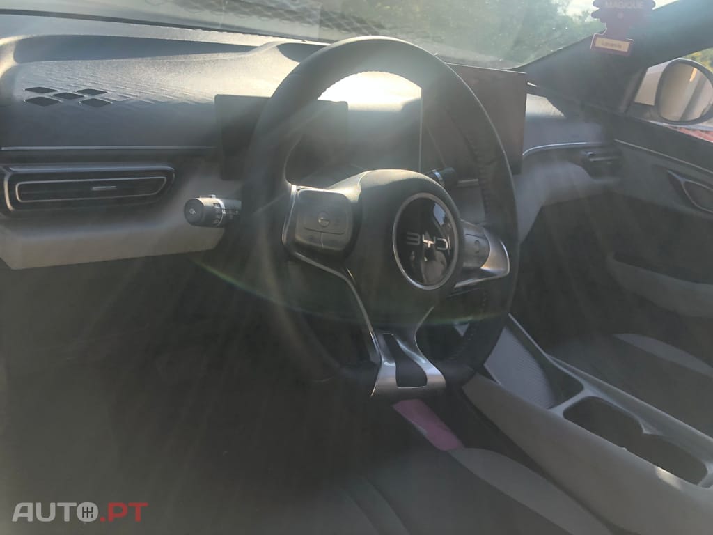 BYD Dolphin Surf Boost