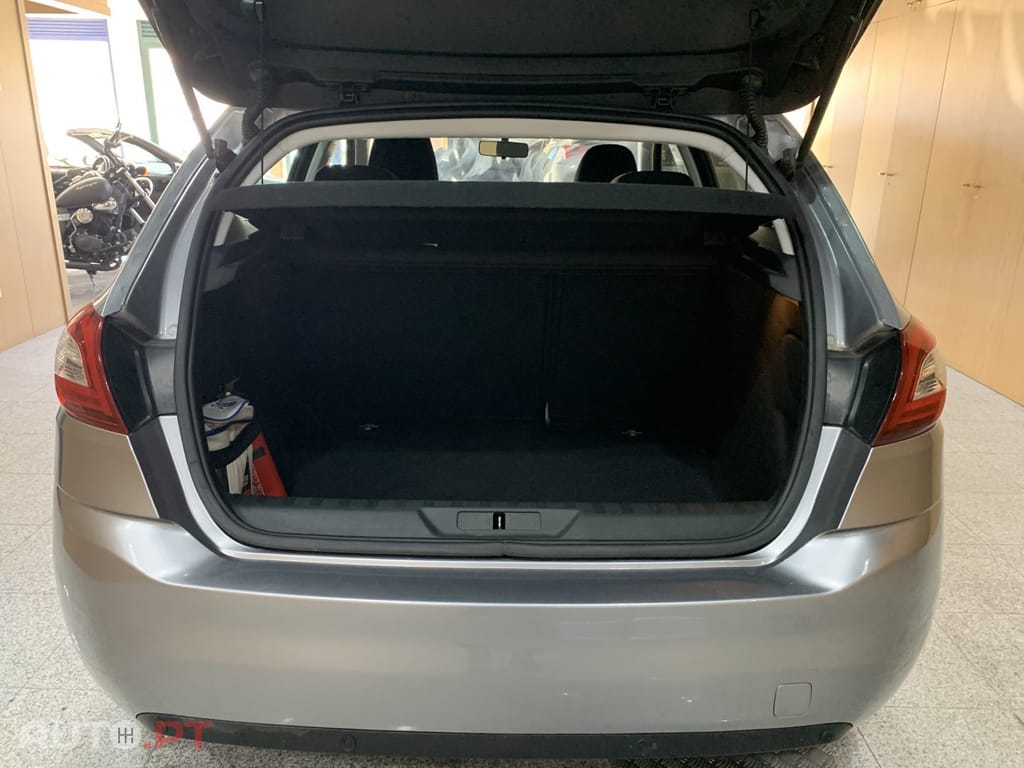 Peugeot 308 BlueHDi FAP 100 Stop & Start Access