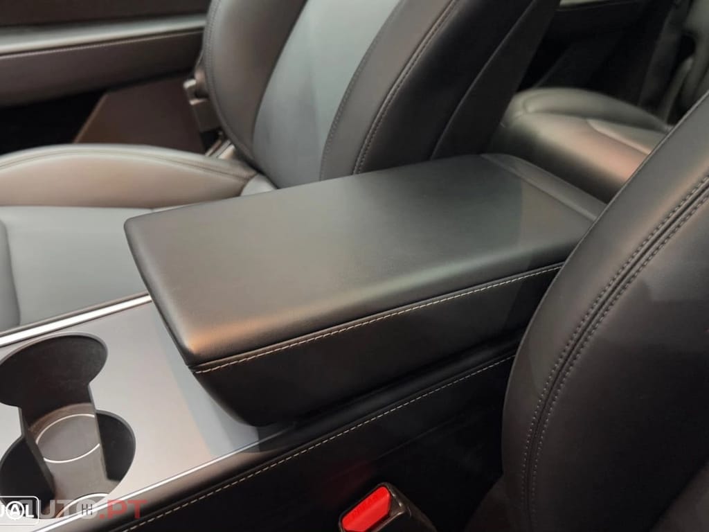Tesla Model Y Performance Dual Motor AWD