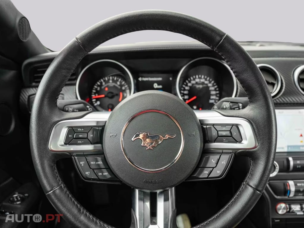 Ford Mustang 2,3 Gt350 SPUR