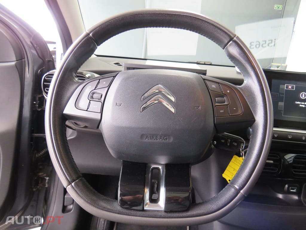 Citroen C4 Cactus 1.6 HDI Panorâmico