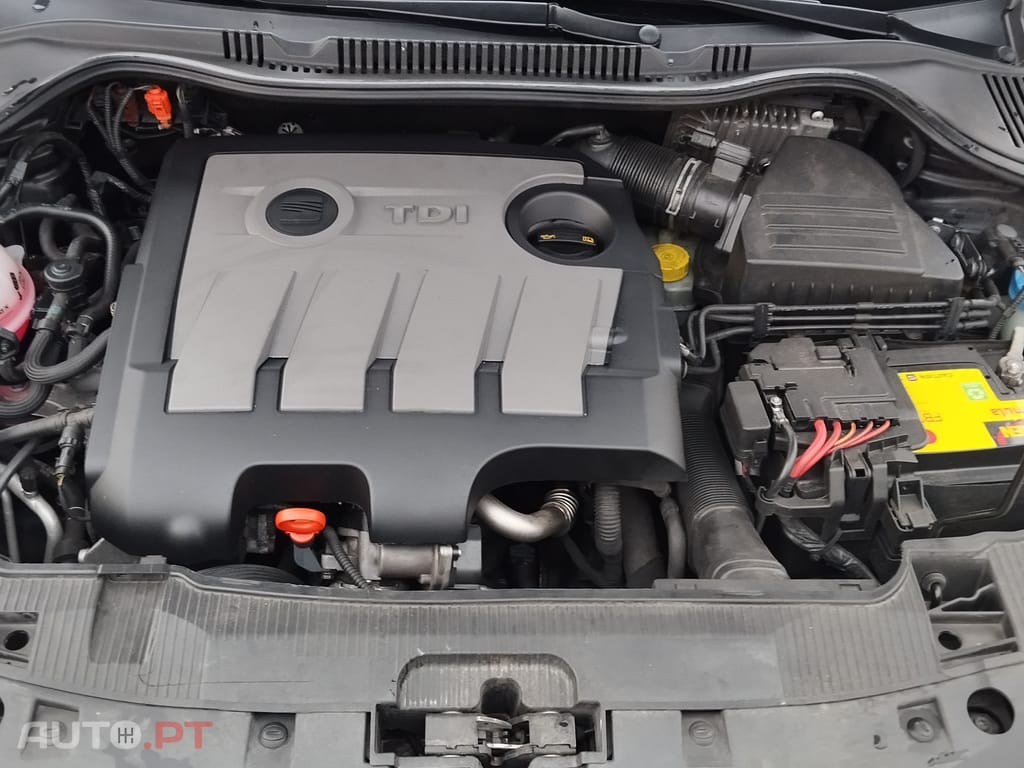 Seat Ibiza 25 anos
