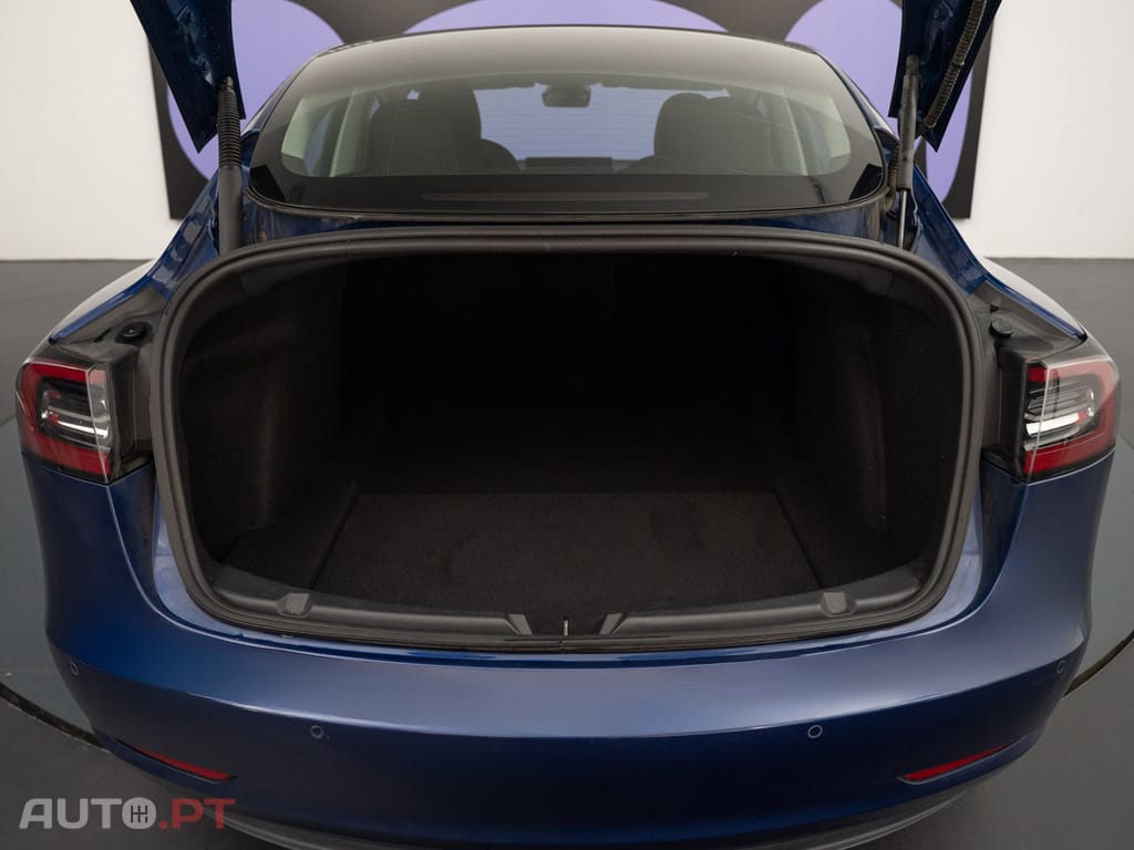 Tesla Model 3 Performance Dual Motor AWD