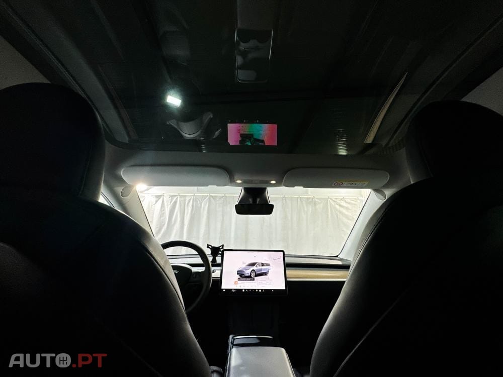 Tesla Model Y Standard
