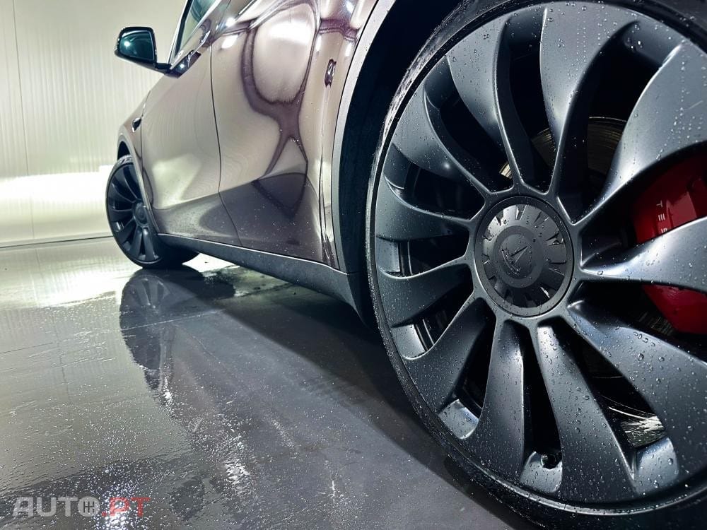 Tesla Model Y Performance Dual Motor AWD