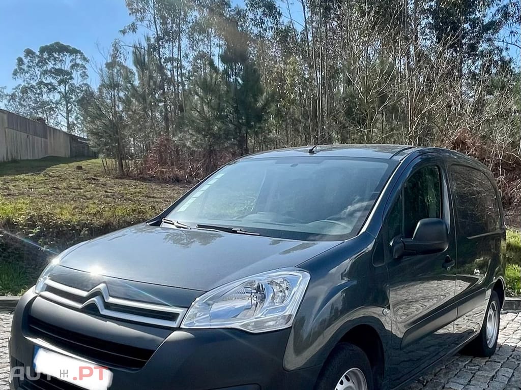Citroen Berlingo berlingo