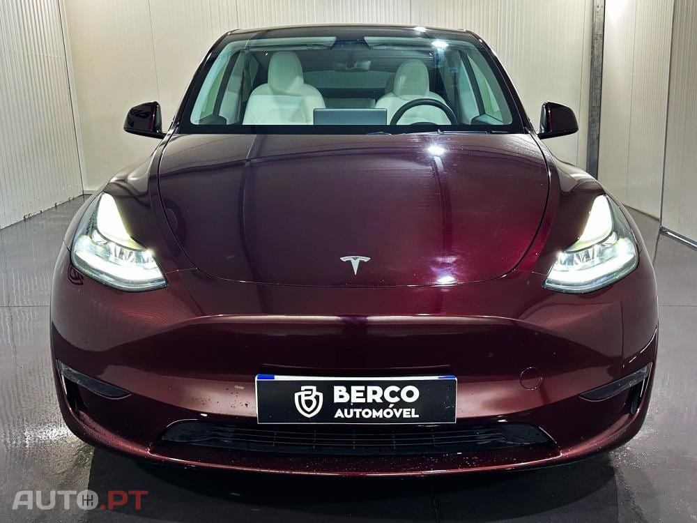 Tesla Model Y Performance Dual Motor AWD