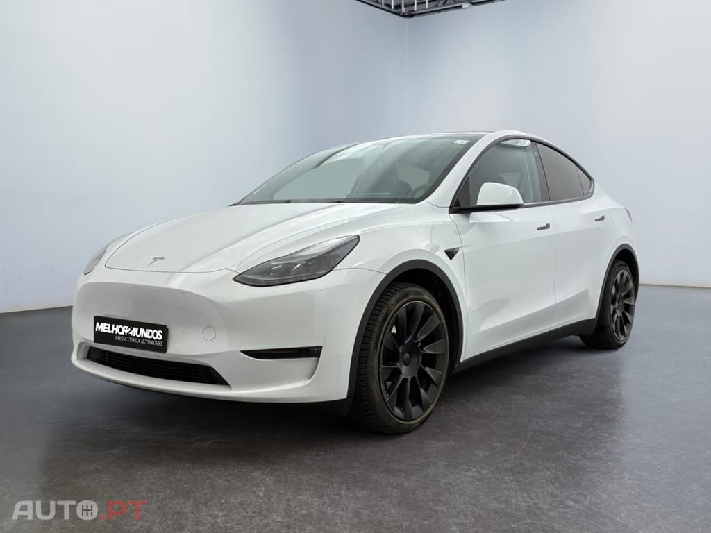 Tesla Model Y Long Range Dual Motor AWD