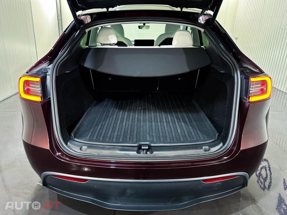 Tesla Model Y Performance Dual Motor AWD