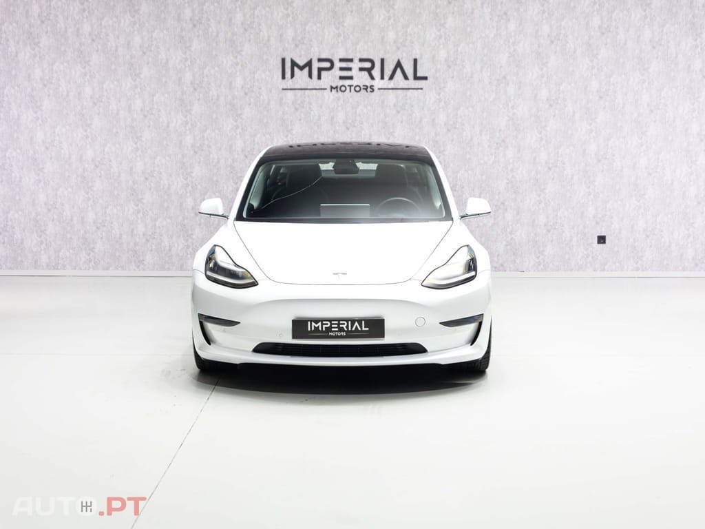 Tesla Model 3 AWD Dual Motor Performance