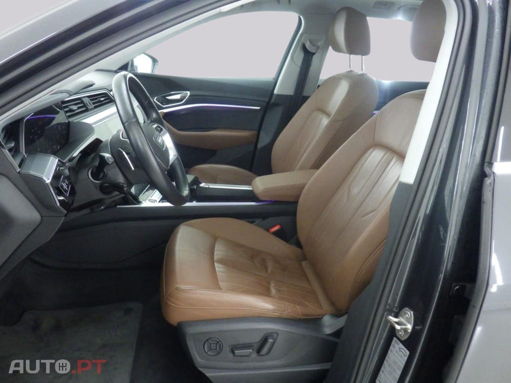 Audi E-Tron 50 Business