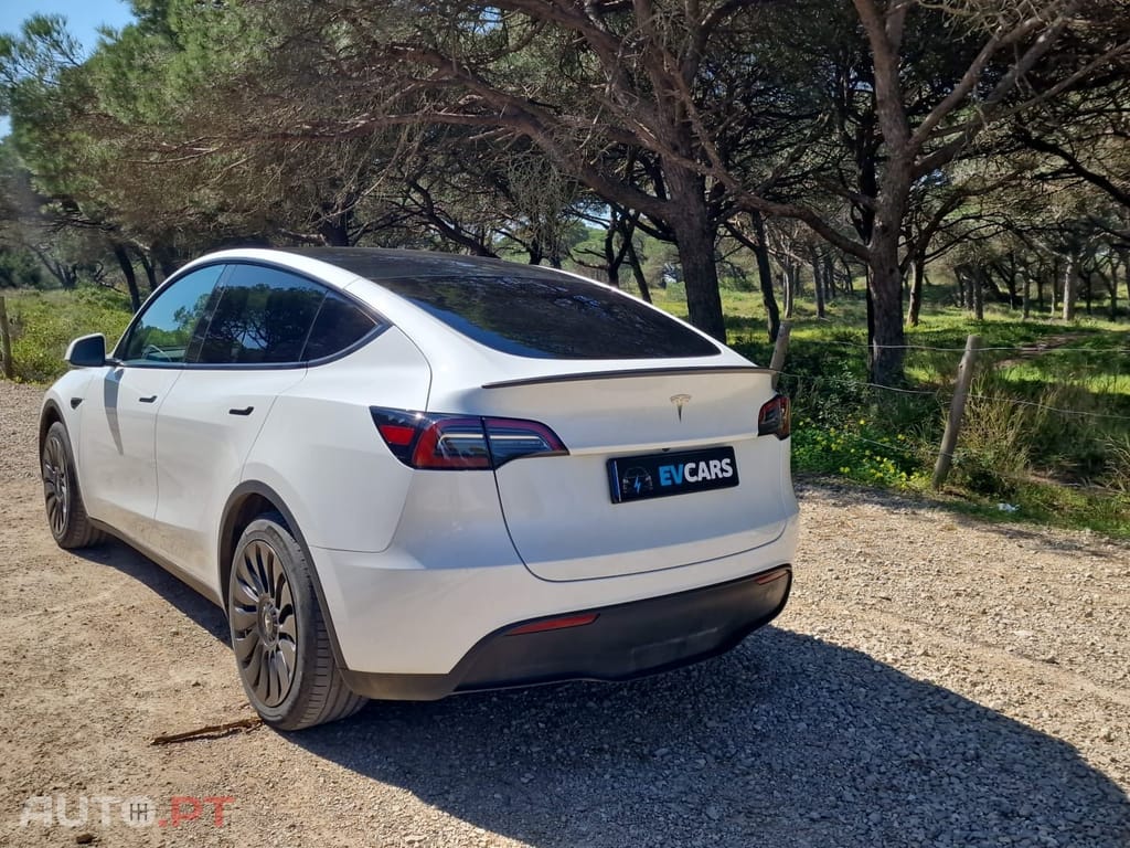 Tesla Model Y RWD