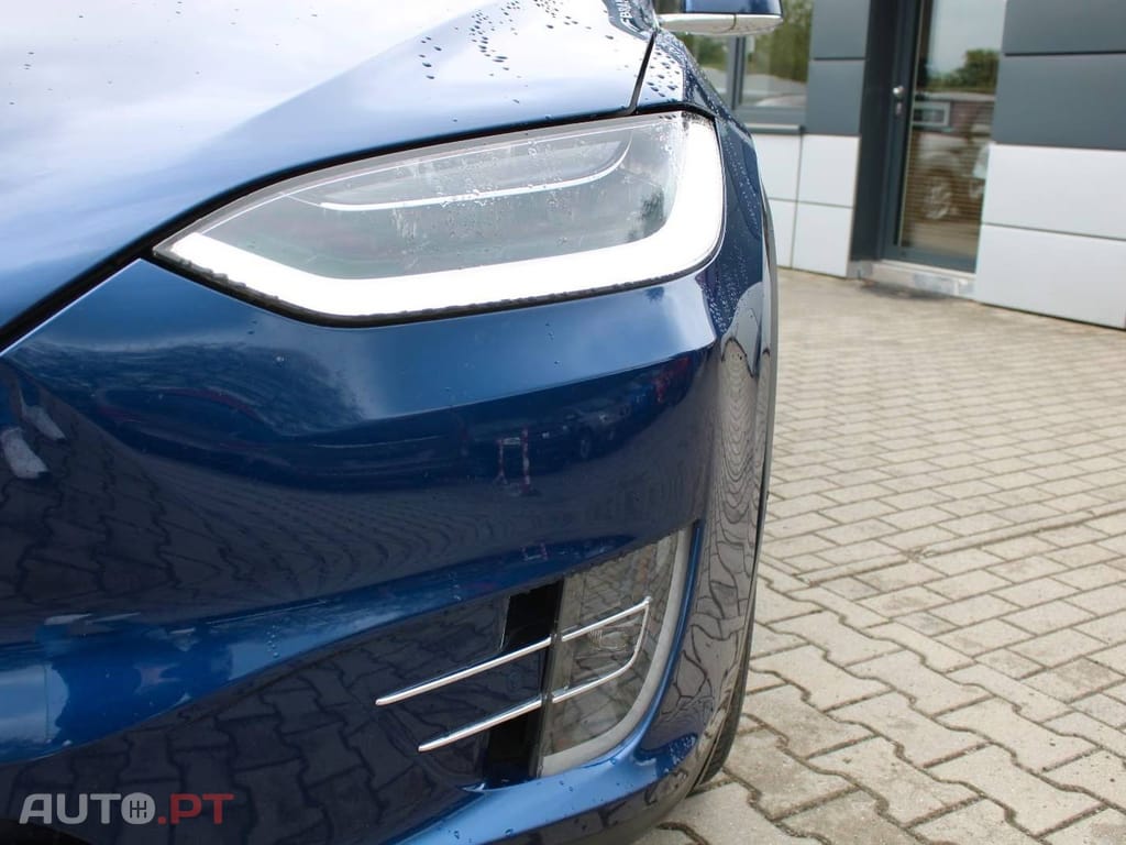 Tesla Model X Dual