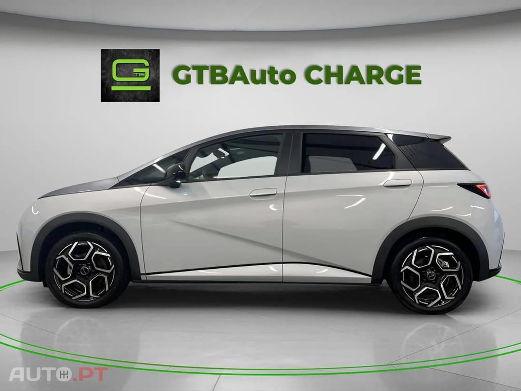 BYD Dolphin Design 