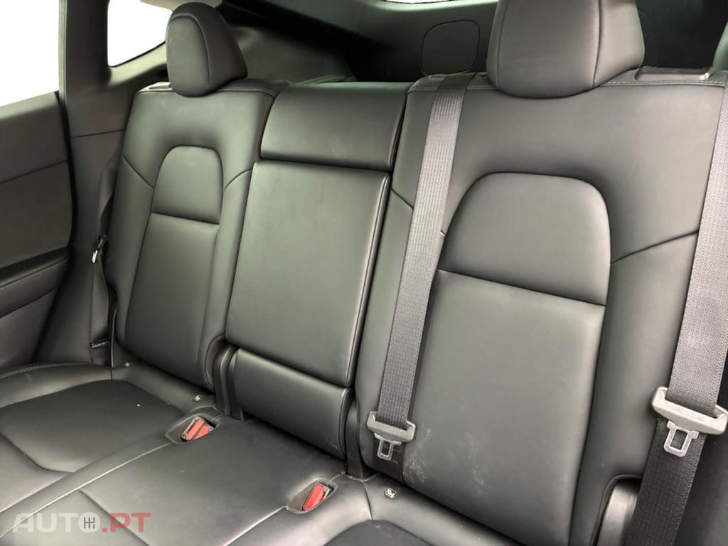 Tesla Model Y Standard RWD