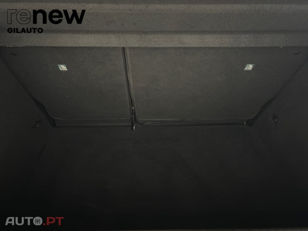 Renault Clio tecnho bifuell