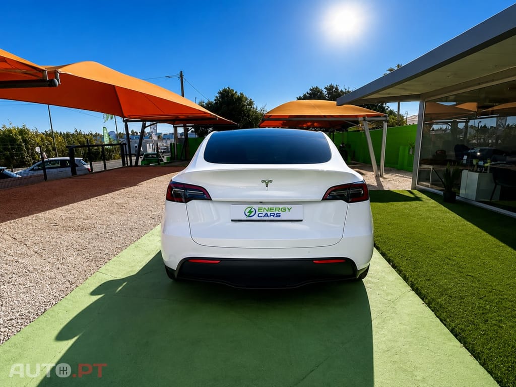 Tesla Model Y Standard