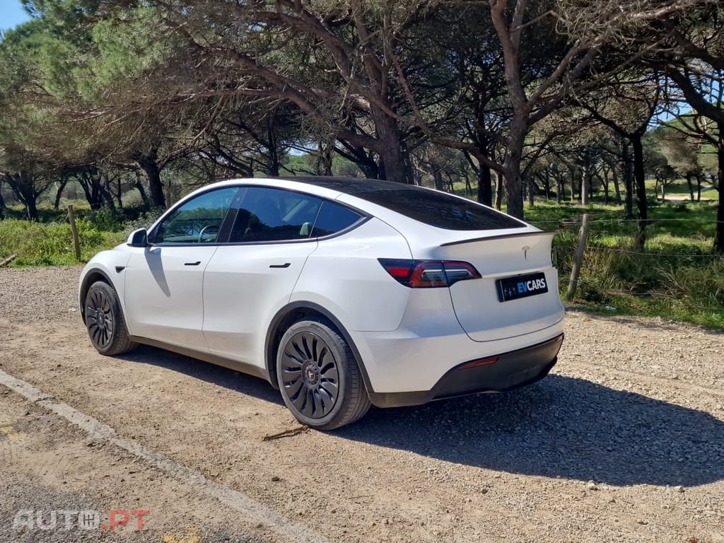 Tesla Model Y RWD